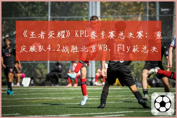 《王者荣耀》KPL春季赛总决赛:重庆狼队4_2战胜北京WB,Fly获总决赛FMVP