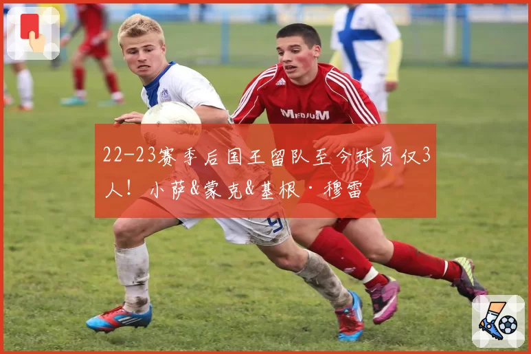 22-23赛季后国王留队至今球员仅3人!小萨&蒙克&基根·穆雷