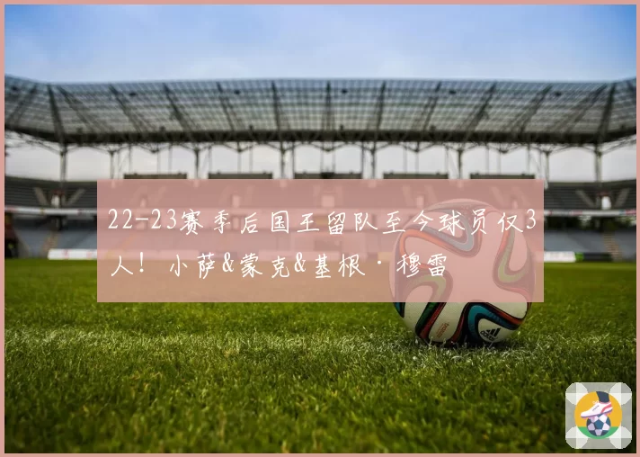 22-23赛季后国王留队至今球员仅3人!小萨&蒙克&基根·穆雷
